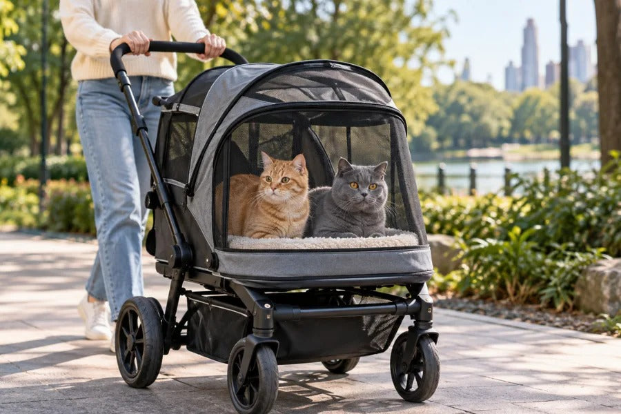 Double cat stroller carrying two cats on a quiet park pathway