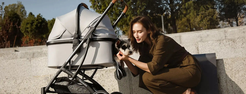 Detachable Pet Strollers