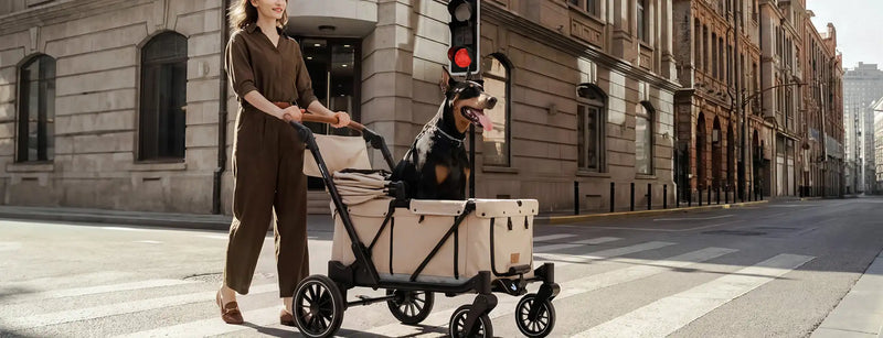 Heavy Duty Pet Strollers