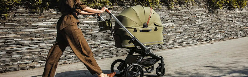 Large Pet Strollers