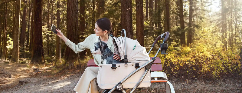 Medium Pet Strollers