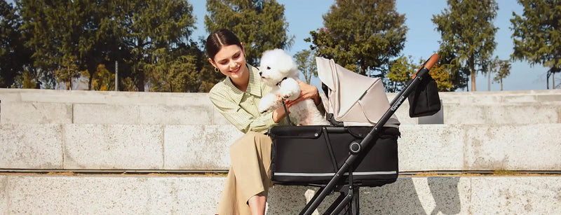 Small Pet Strollers