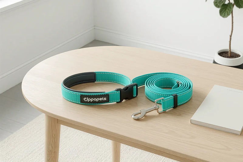 Pet Accessories